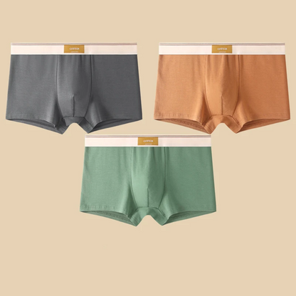 Cotton Theory Boxer Brief Set