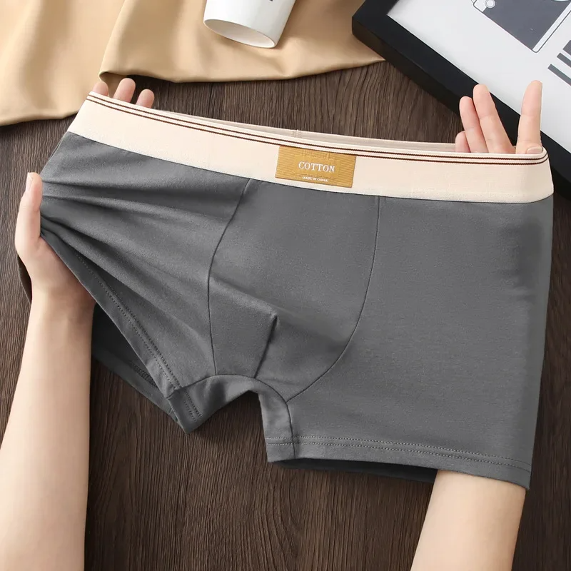 Cotton Theory Boxer Brief Set