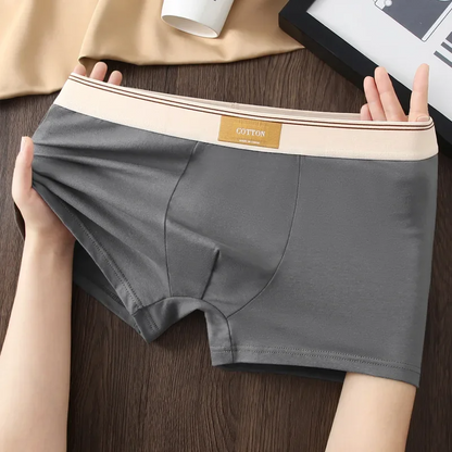 Cotton Theory Boxer Brief Set